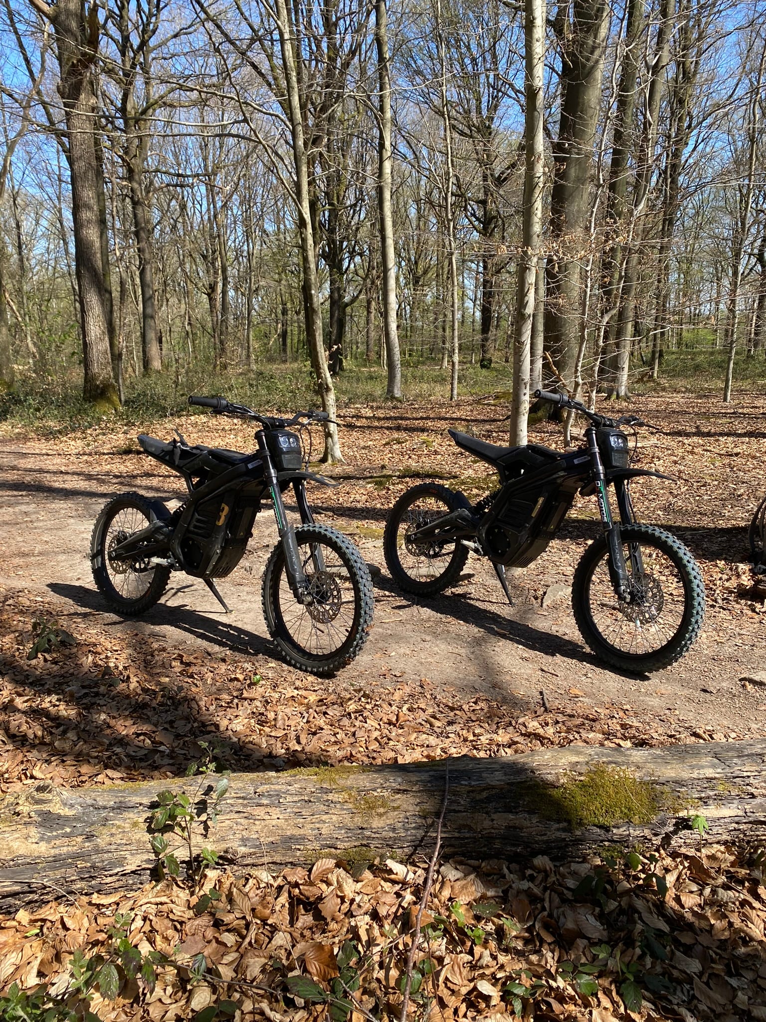 Balade Foret moto électrique